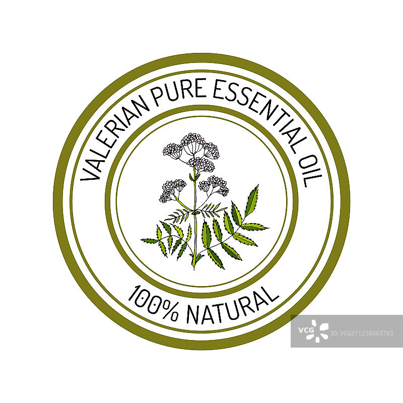 缬草精油标签香草植物图片素材