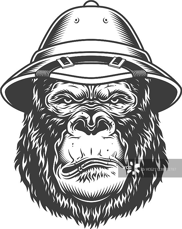 单色风格的严肃大猩猩图片素材