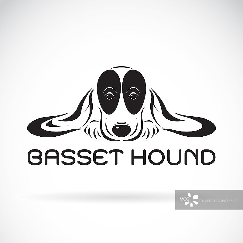 白色背景巴吉度猎犬宠物图片素材