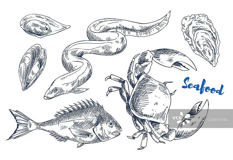 不同的海鲜类海洋动物图片素材