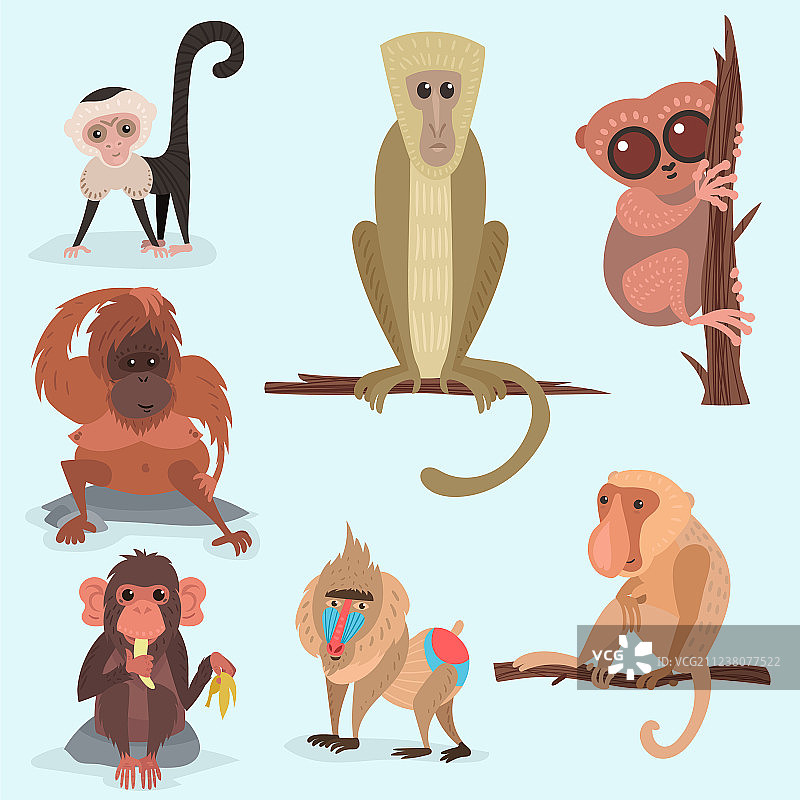 不同的面包，猴子性格动物野生动物园图片素材