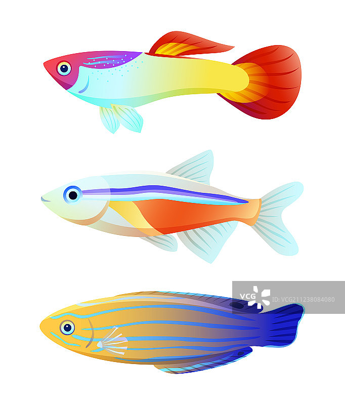 白色背景水族箱鱼类剪影图标图片素材