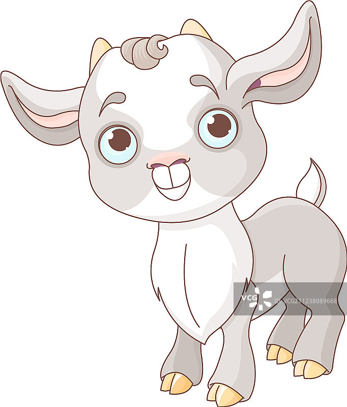 小山羊图片素材