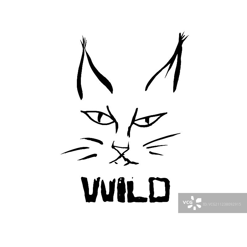 野生猫科动物的猞猁垃圾摇滚风格印花图片素材