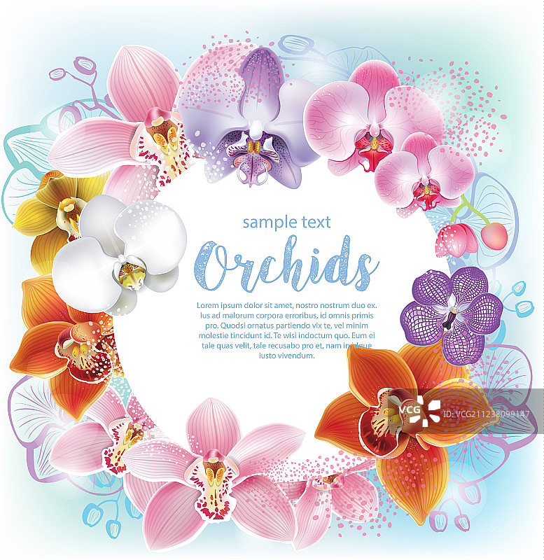 兰花贺卡图片素材