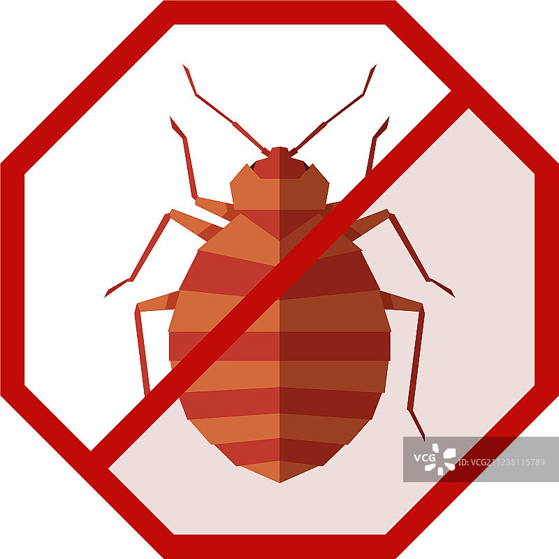 带臭虫的扁平风几何标志图片素材
