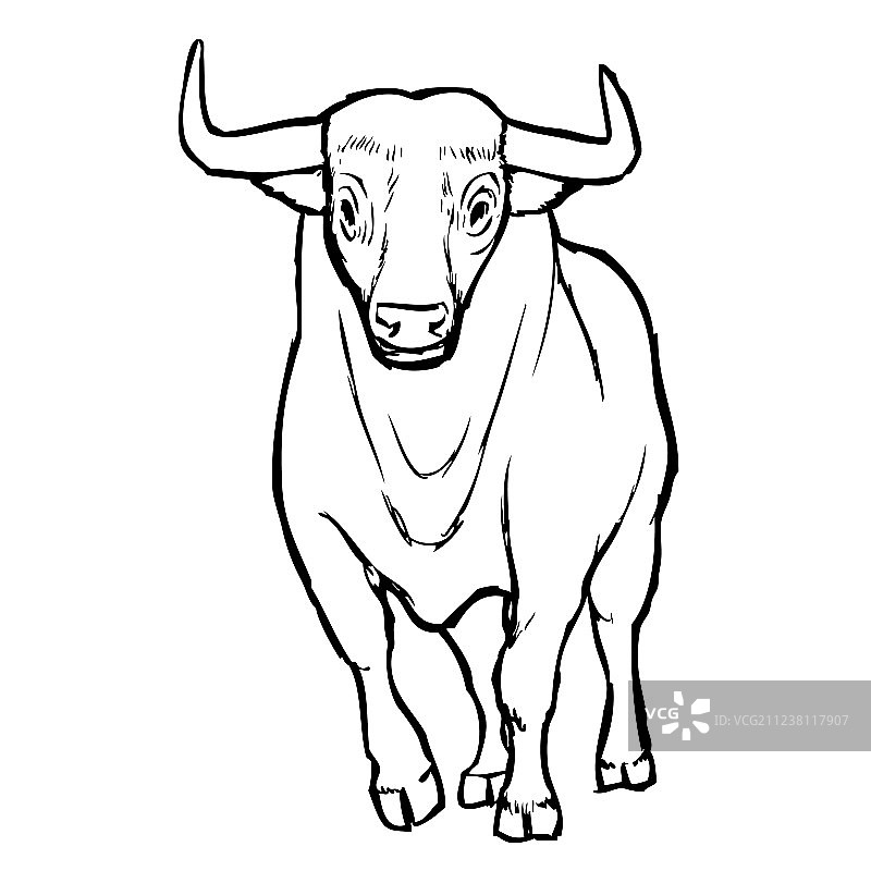 手绘公牛素描图片素材