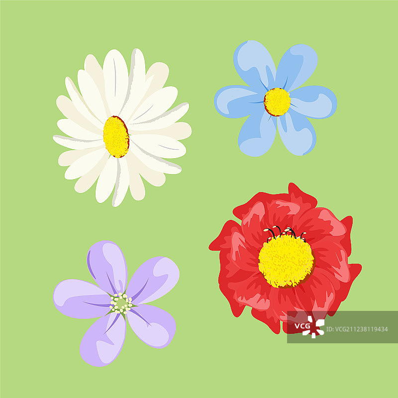 彩色花朵合集图片素材