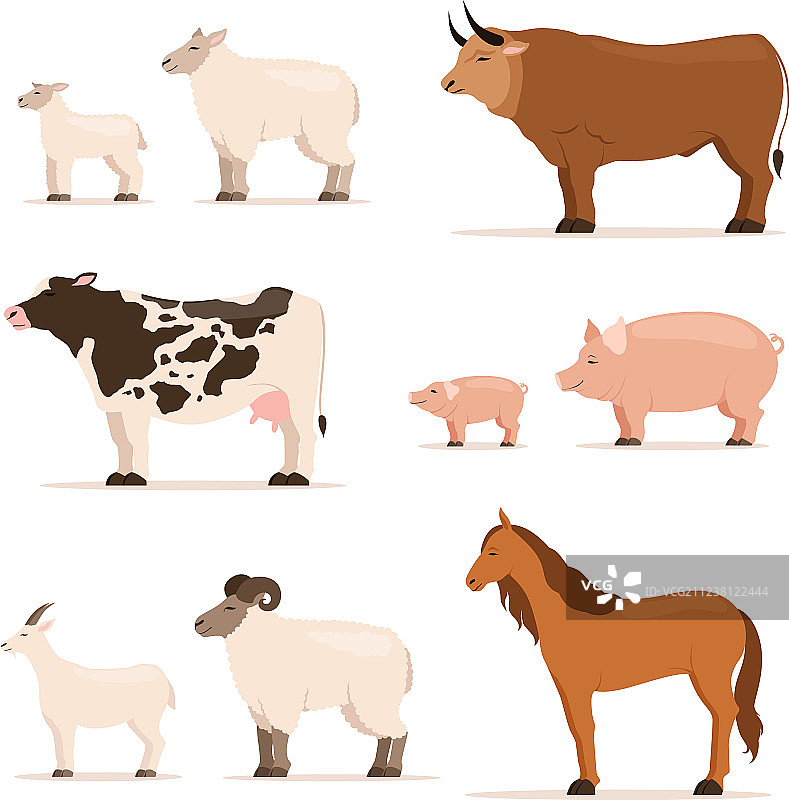农场动物：羔羊、小猪、牛、绵羊和山羊图片素材