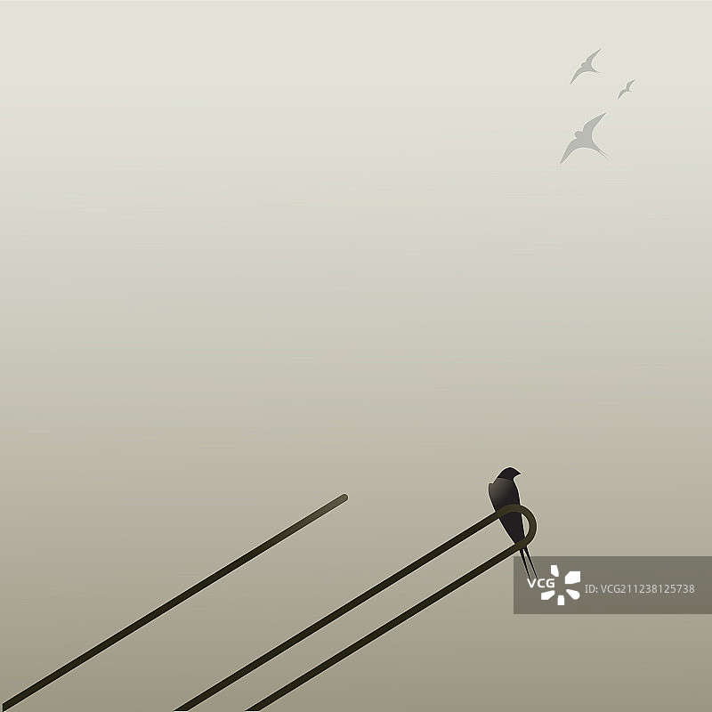栖息在天线上的燕子图片素材