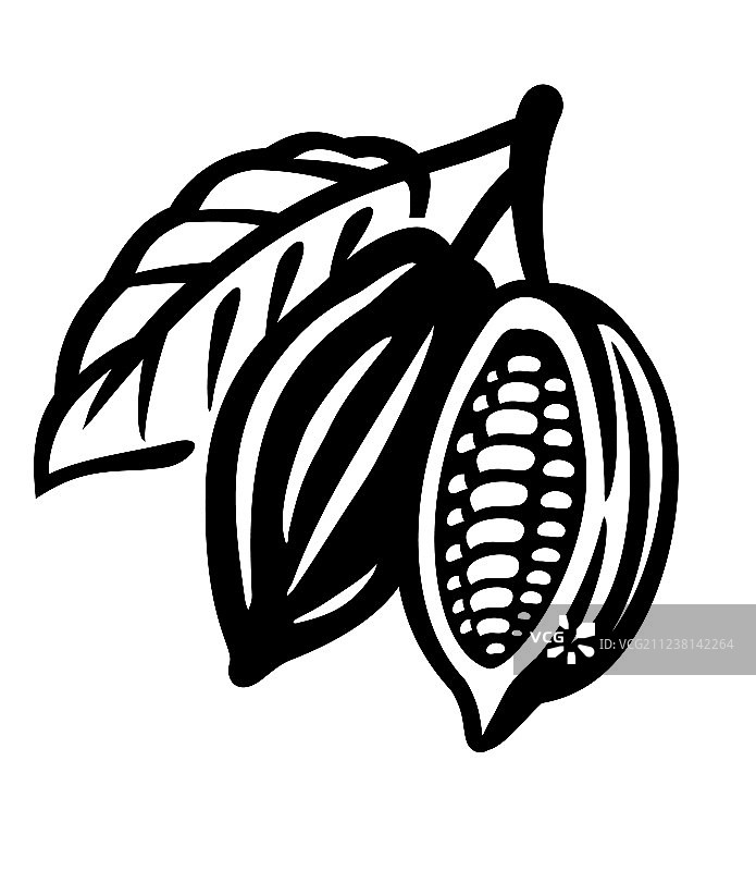 白色背景上的黑色可可豆图标图片素材