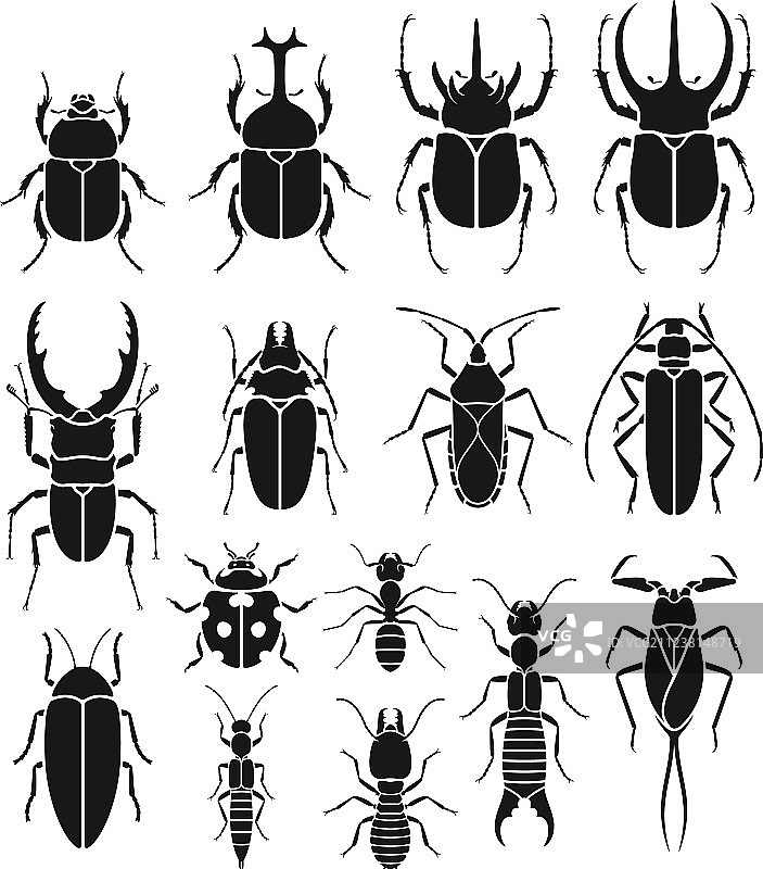 昆虫图标合集图片素材