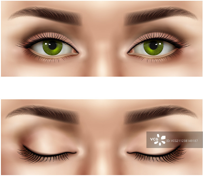 逼真的女性眼睛合集图片素材