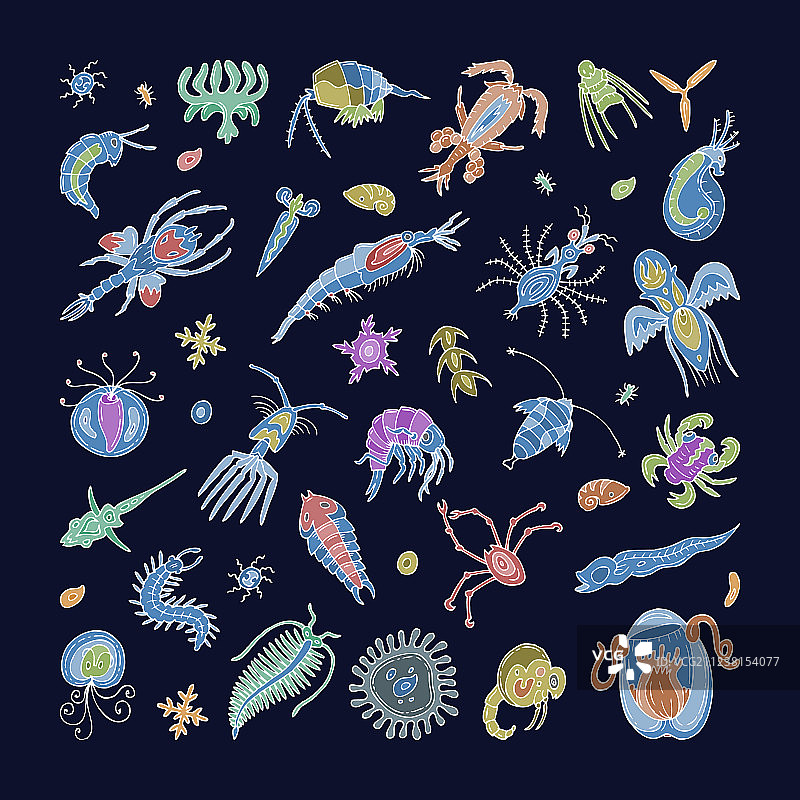 浮游生物水生浮游植物图片素材