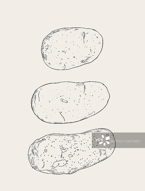 手绘素描土豆套装图片素材