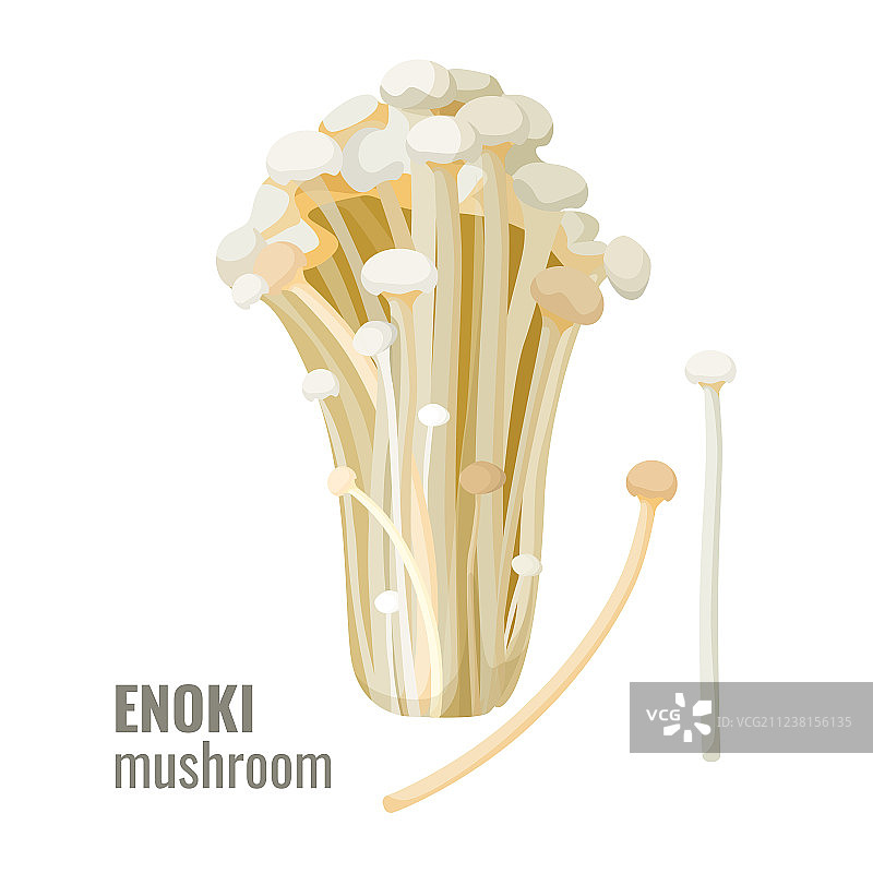 金针菇图片素材