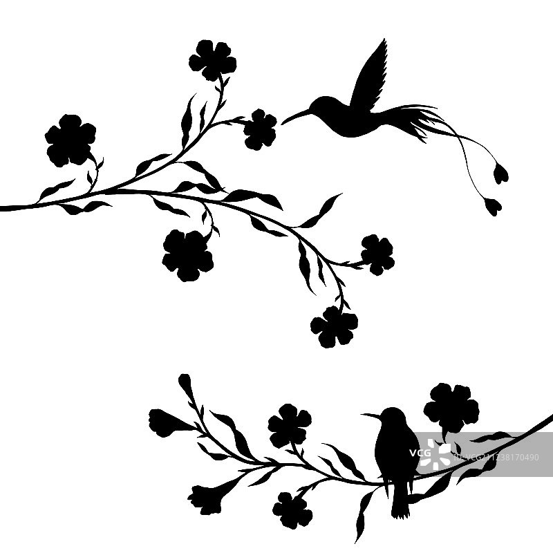 蜂鸟和花朵剪影图片素材