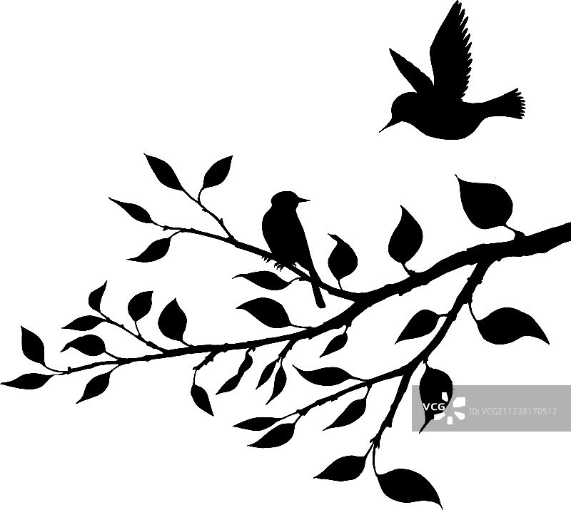树上的鸟剪影图片素材