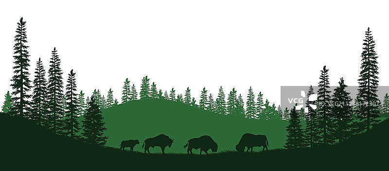 美洲野牛黑色剪影图片素材