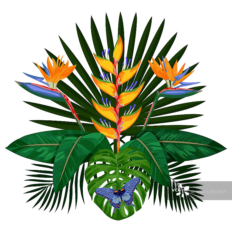 热带花束组合图片素材