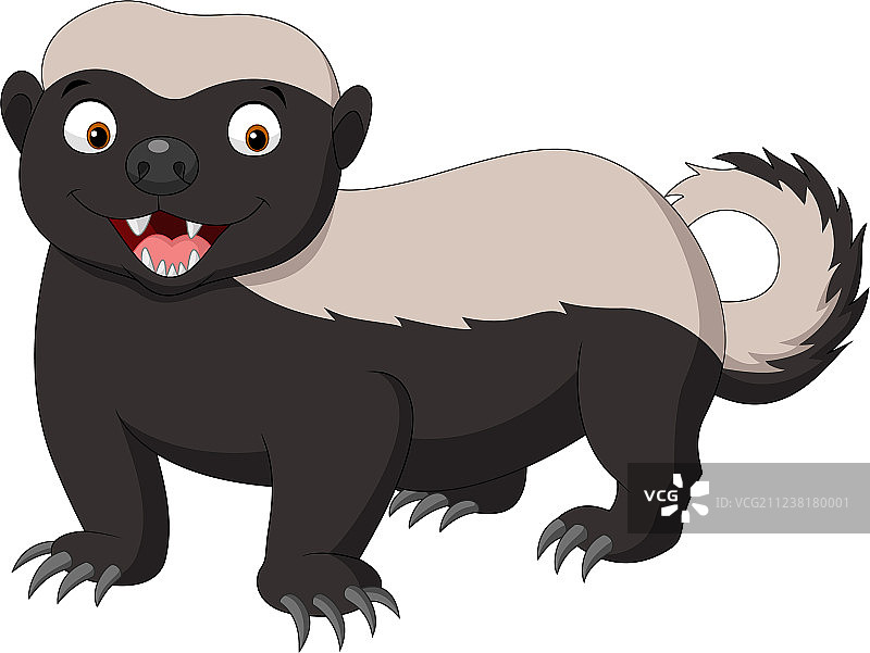 卡通蜜獾图片素材