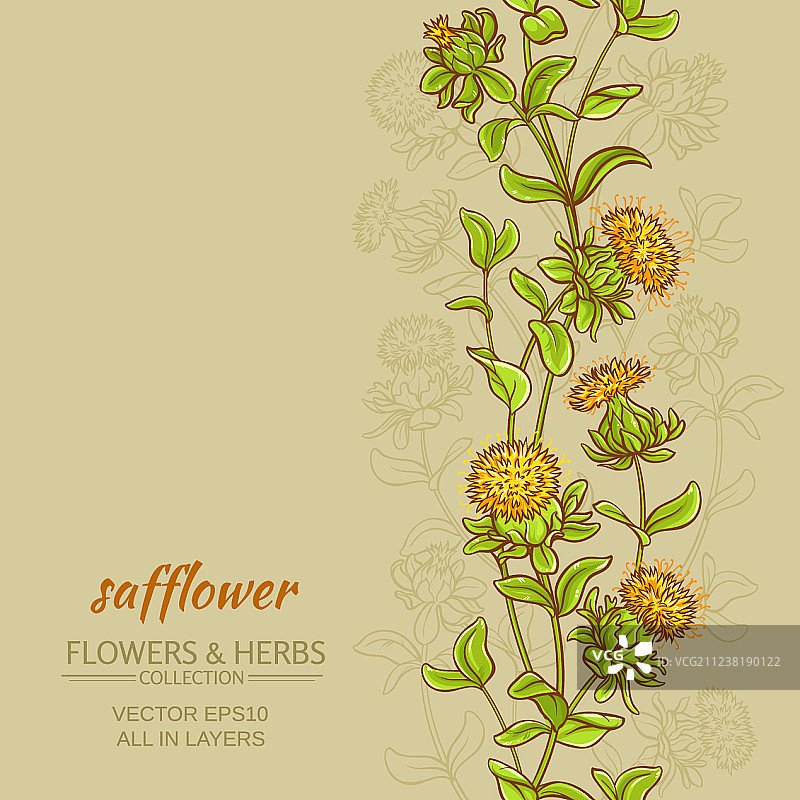 红花颜色背景图片素材