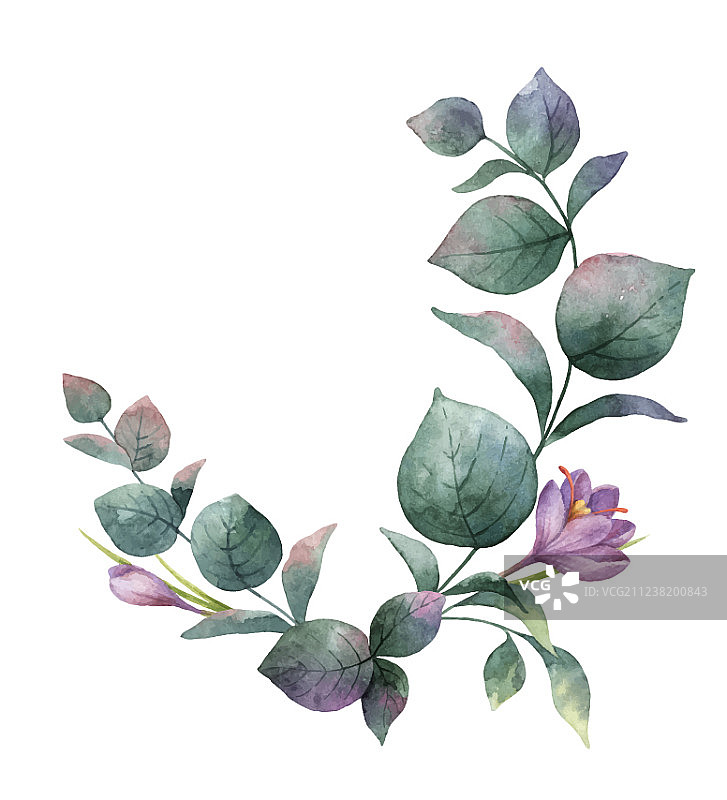 绿色桉树水彩花环图片素材