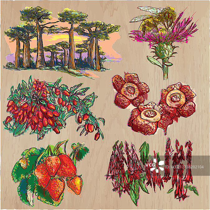 手绘彩色花朵线条素材图片素材