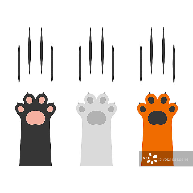 白色背景上的猫爪挠痕合集图片素材