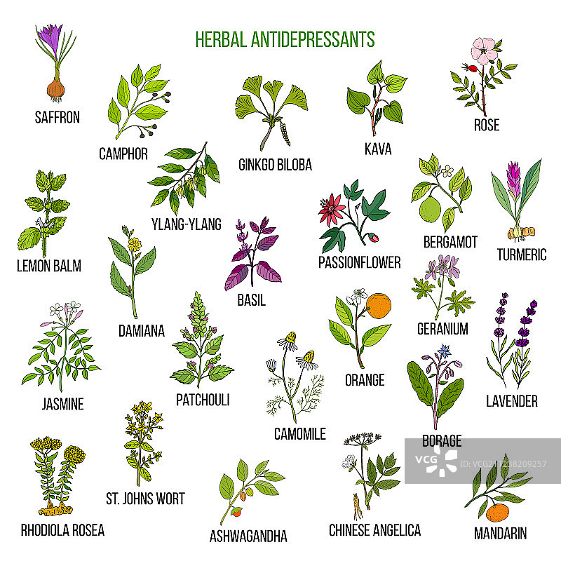 草药抗抑郁药图片素材