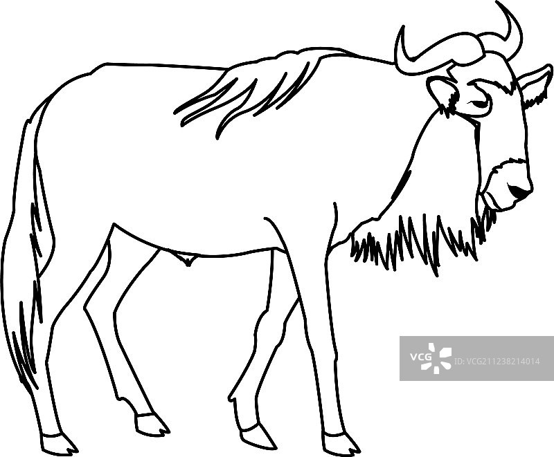 站立的非洲野生动物角马图片素材