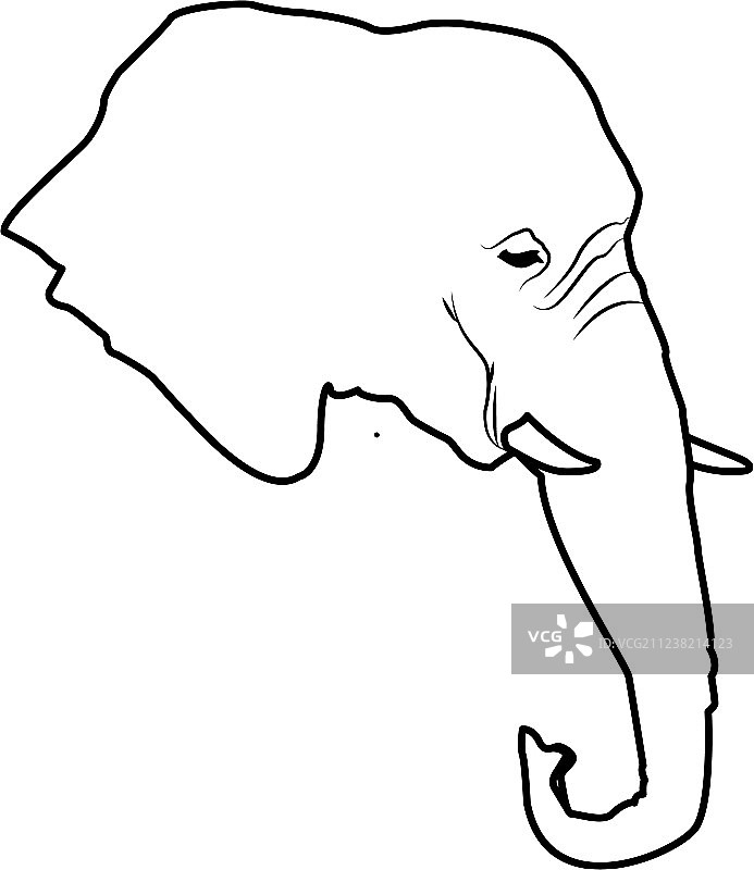 非洲野生大象图片素材