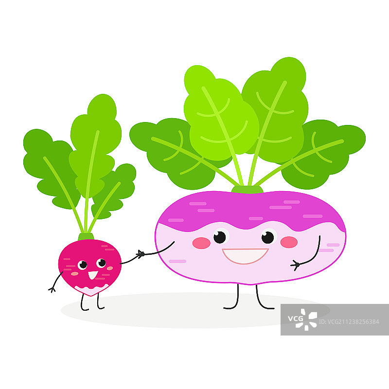 可爱卡通萝卜和芜菁图片素材