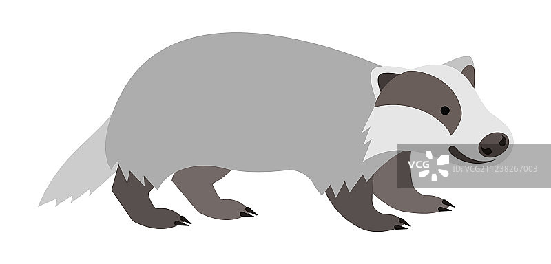 可爱的微笑卡通獾图片素材