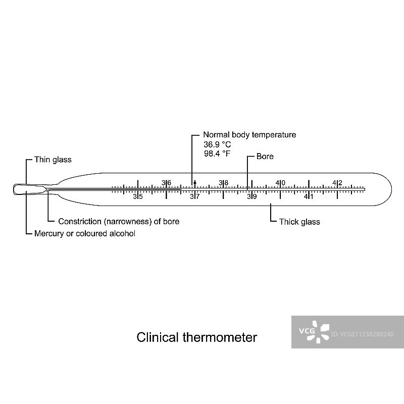 白色背景上的医用体温计图片素材