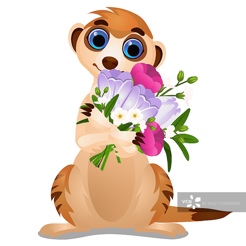 手持鲜花花束的猫鼬图片素材