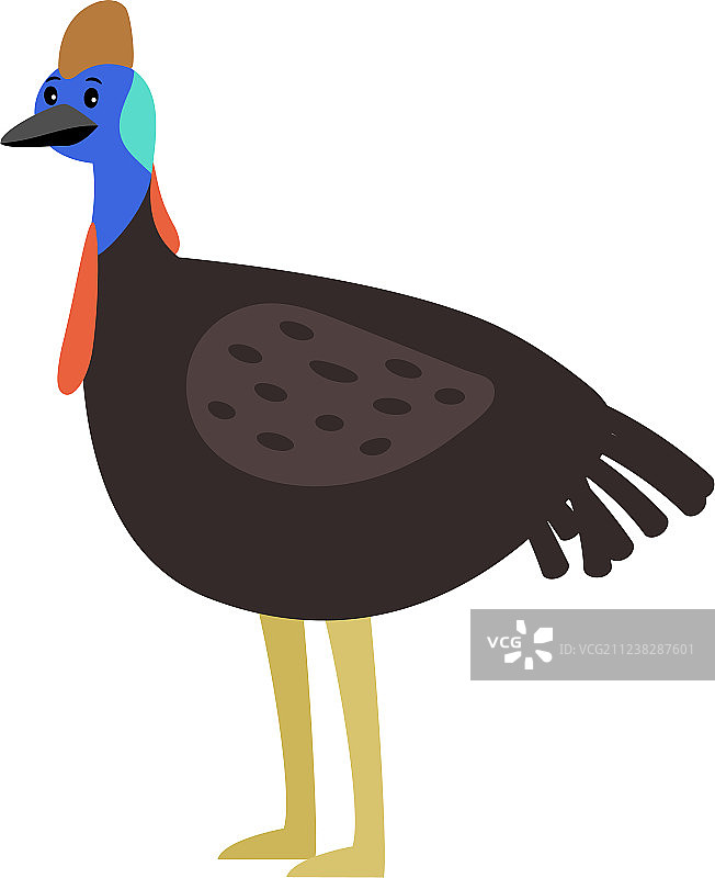 可爱的卡通鸟食火鸡图片素材