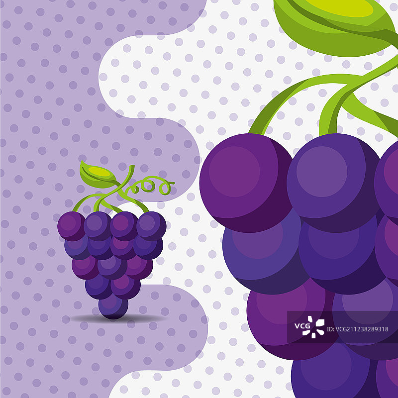 新鲜葡萄水果点状背景图片素材