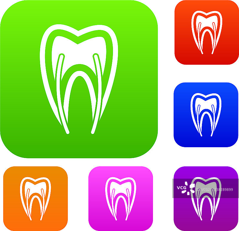 牙齿横截面集合图片素材