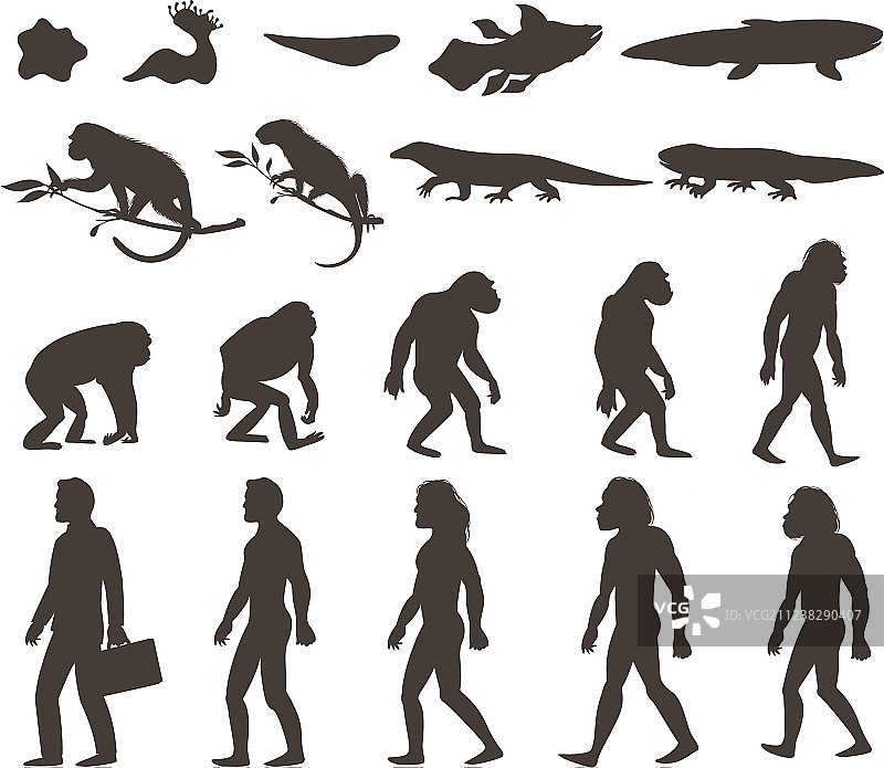 人类达尔文进化剪影合集图片素材