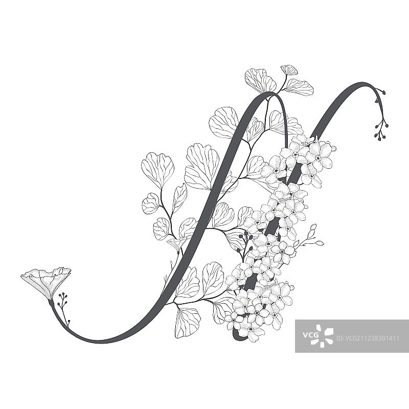 手绘花卉N字母图案和标志图片素材