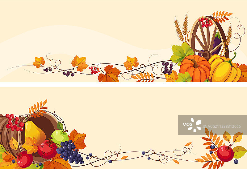 带文本空间的感恩节背景图片素材