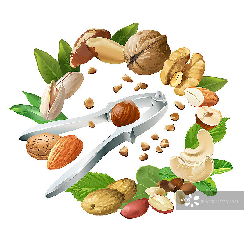 胡桃夹子和坚果图片素材