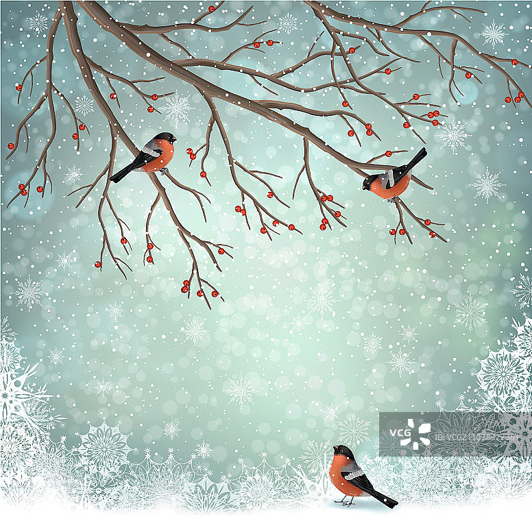 冬天的风景图片素材