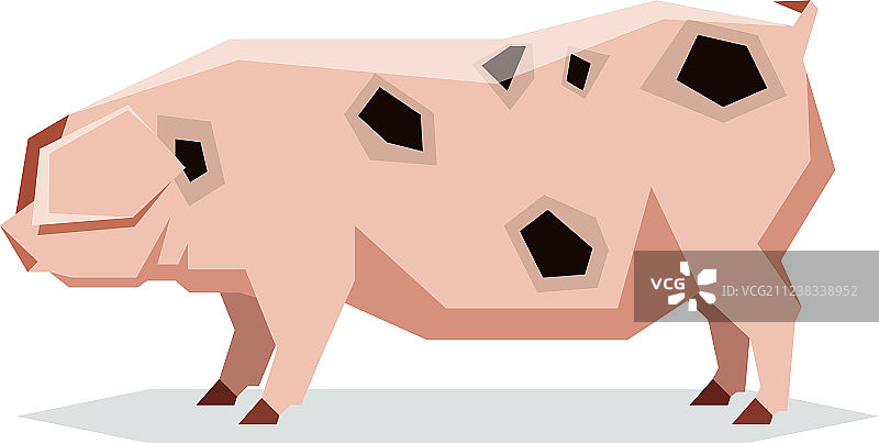 扁平几何格洛斯特老猪图片素材