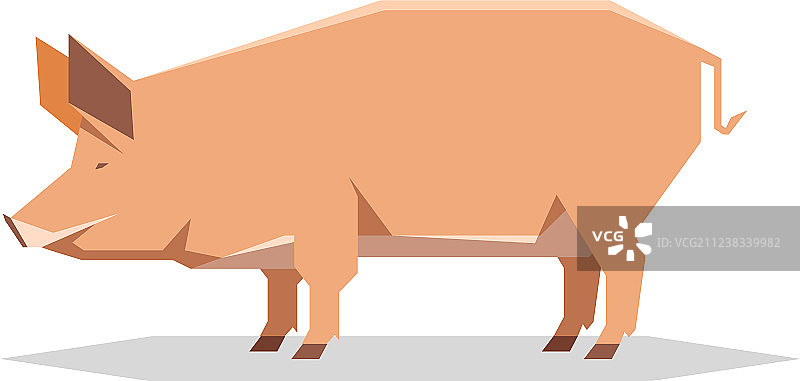 扁平几何风格谭沃思猪图片素材