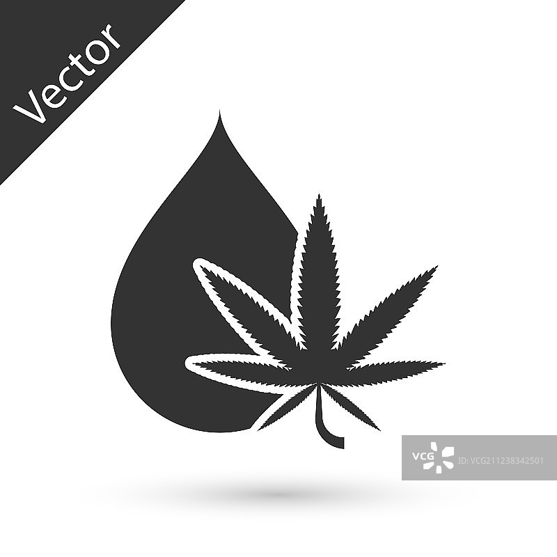 医用大麻叶橄榄油图片素材