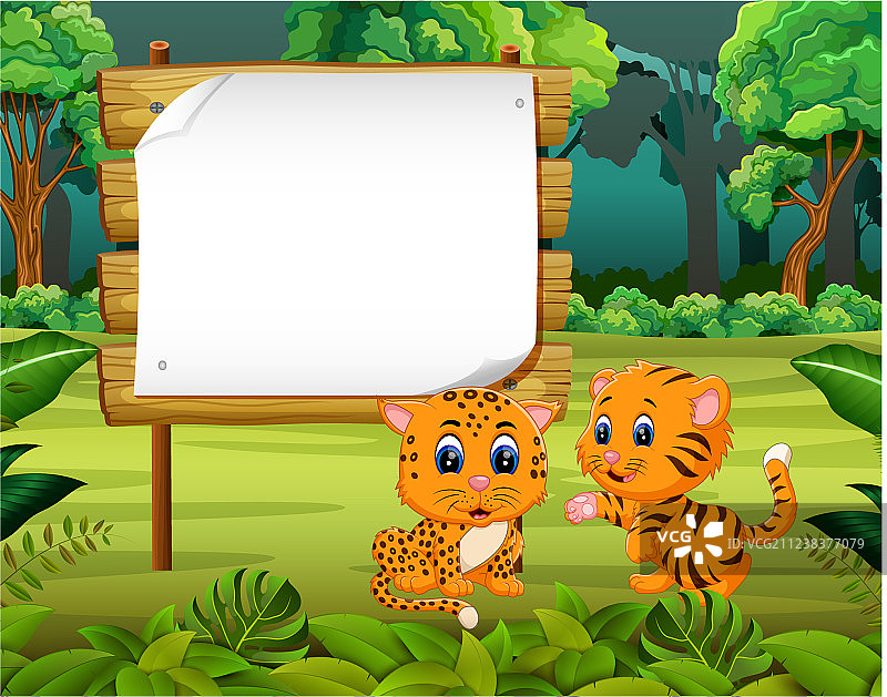 带木板的美丽自然风光图片素材