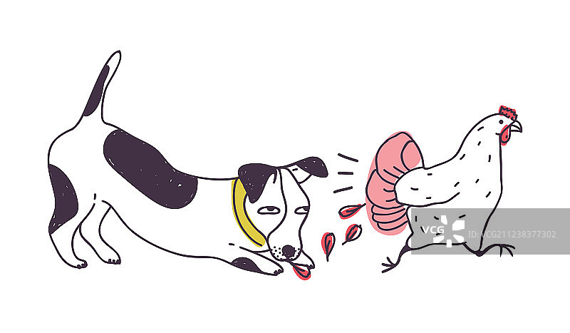 恶犬追逐小鸡，白色背景图片素材