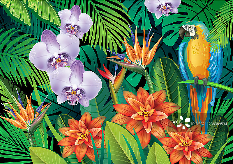 充满异域热带花卉的背景图片素材